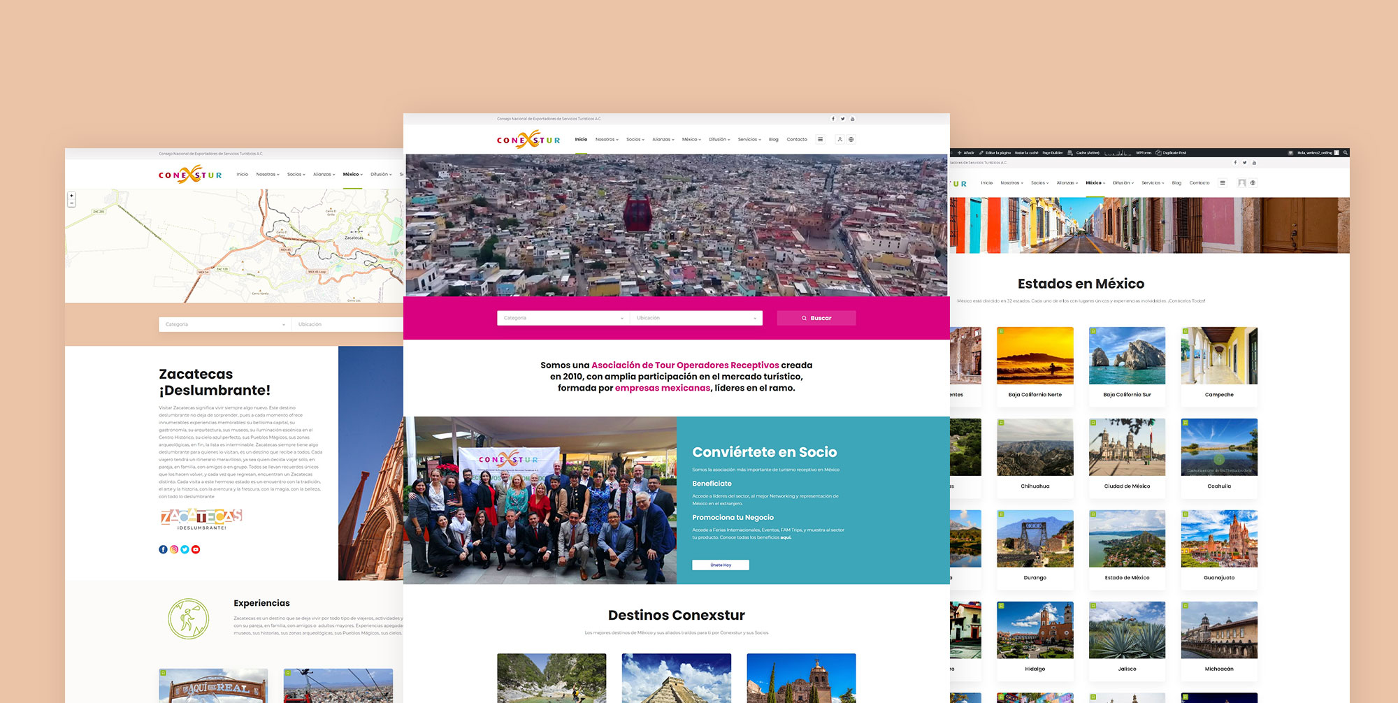 boom-agencia-marketing-digital-conexstur-website
